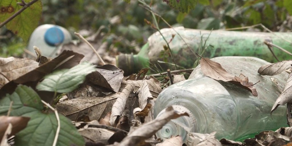 Plastik in der Natur